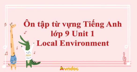 Ôn tập từ vựng Tiếng Anh lớp 9 Unit 1 Local Environment