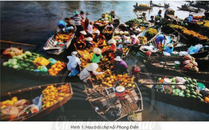 Soạn bài Chợ nổi – Nét văn hóa sông nước miền Tây sách CTST