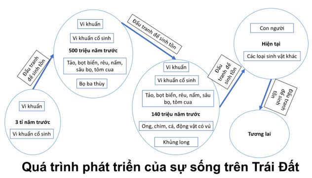 Sự sống và cái chết