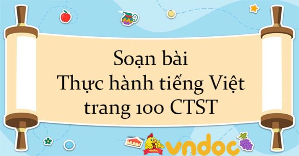 Soạn bài Thực hành tiếng Việt trang 100 CTST