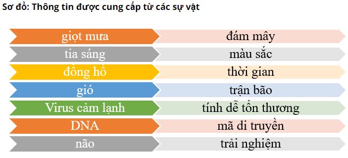 Soạn bài Thực hành tiếng Việt trang 111 KNTT