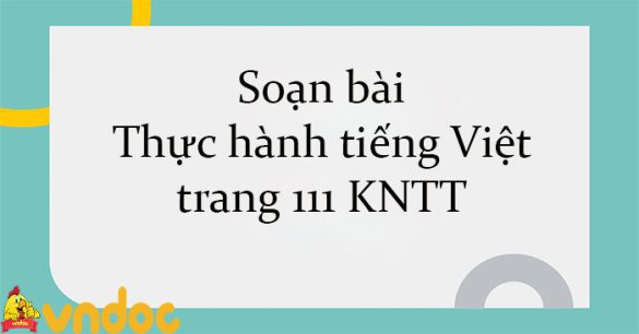 Soạn bài Thực hành tiếng Việt trang 111 KNTT