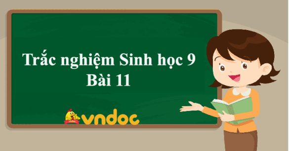 Trắc nghiệm Sinh học 9 Bài 11