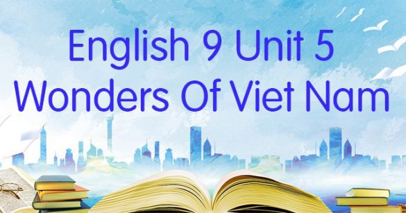 Từ vựng Unit 5 lớp 9 Wonders of Viet Nam