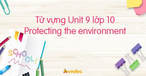 Từ vựng Unit 9 lớp 10 Protecting the environment