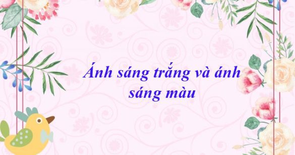 Ánh sáng trắng và ánh sáng màu