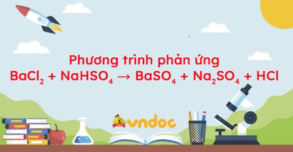 BaCl2 + NaHSO4 → BaSO4 + Na2SO4 + HCl