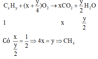 chuyên đề hóa học 9