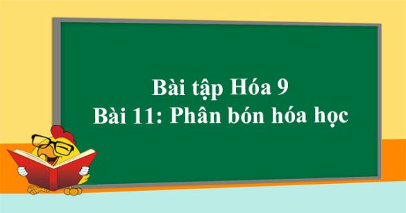 Bài tập Hóa 9 bài 11: Phân bón hóa học