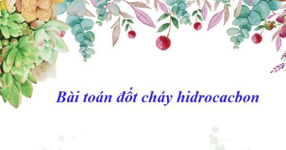 Bài toán đốt cháy hidrocacbon