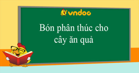 Bón phân thúc cho cây ăn quả