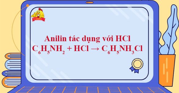 C6H5NH2 + HCl → C6H5NH3Cl