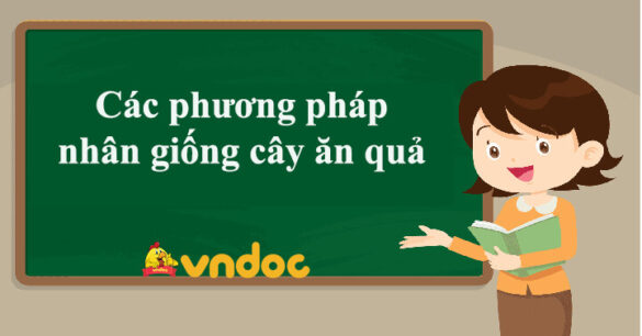 Các phương pháp nhân giống cây ăn quả