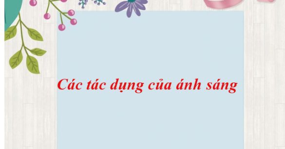 Các tác dụng của ánh sáng