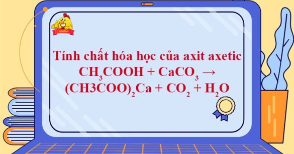 CH3COOH + CaCO3 → (CH3COO)2Ca + CO2 + H2O