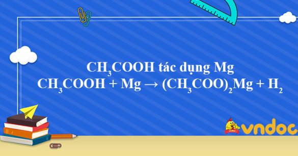 CH3COOH + Mg → (CH3COO)2Mg + H2