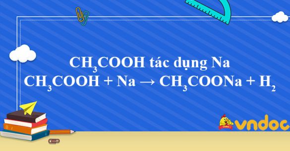 CH3COOH + Na → CH3COONa + H2