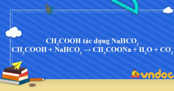 CH3COOH + NaHCO3 → CH3COONa + H2O + CO2