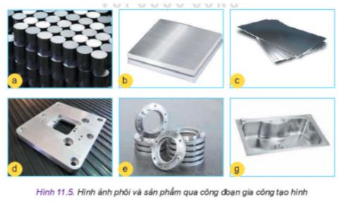 Công nghệ 11 Kết nối tri thức bài 11