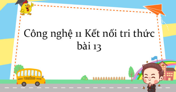 Công nghệ 11 Kết nối tri thức bài 13