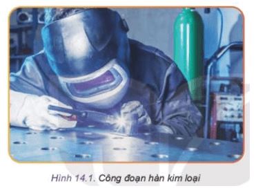 Công nghệ 11 Kết nối tri thức bài 14