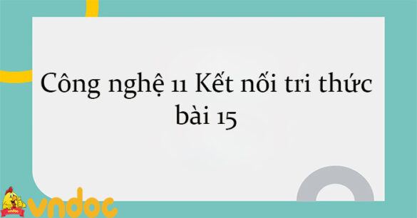 Công nghệ 11 Kết nối tri thức bài 15