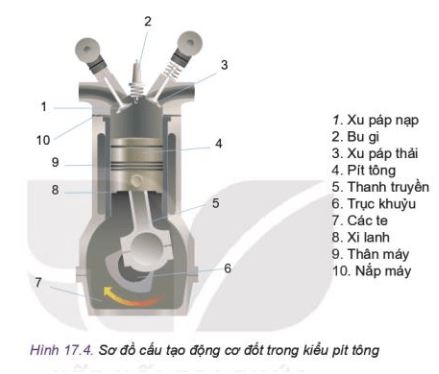 Công nghệ 11 Kết nối tri thức bài 17