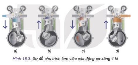 Công nghệ 11 Kết nối tri thức bài 18