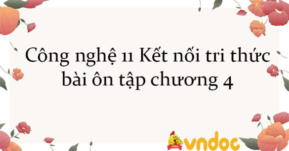 Công nghệ 11 Kết nối tri thức bài ôn tập chương 4