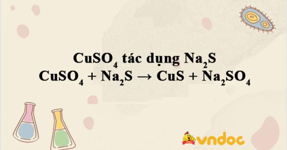 CuSO4 + Na2S → CuS + Na2SO4