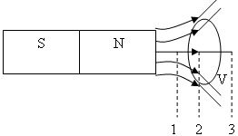 Đề kiểm tra 15 phút môn Vật lý lớp 9 bài 10: Điều kiện xuất hiện dòng điện cảm ứng