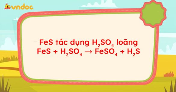 FeS + H2SO4 → FeSO4 + H2S