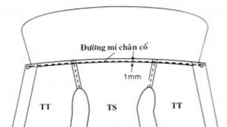 Giải bài tập SGK Công nghệ lớp 9 bài 11: Cắt may một số kiểu bâu lá sen