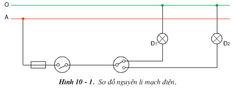 Giải bài tập SGK Công nghệ lớp 9 quyển 4 bài 10: Thực hành: Lắp mạch điện một công tắc ba cực điều khiển hai đèn