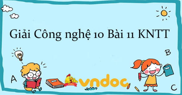 Giải Công nghệ 10 Bài 11: Khái niệm và vai trò của giống cây trồng KNTT