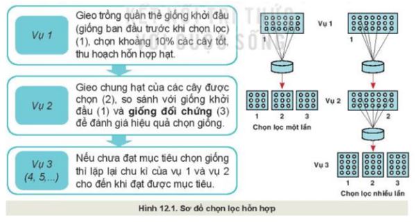 Giải Công nghệ 10 Bài 12