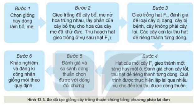 Giải Công nghệ 10 Bài 12