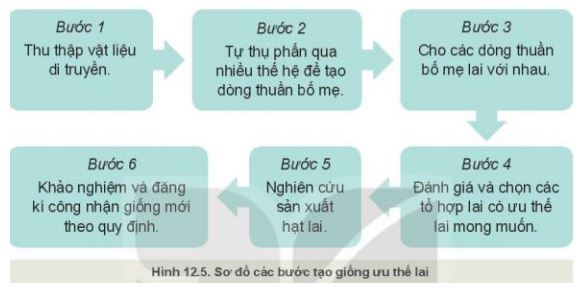 Giải Công nghệ 10 Bài 12