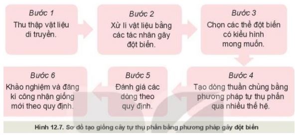 Giải Công nghệ 10 Bài 12