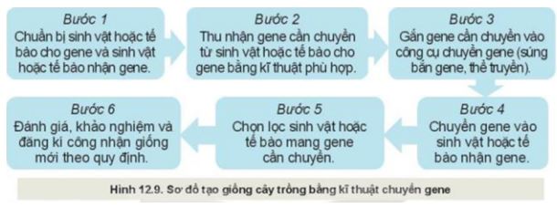 Giải Công nghệ 10 Bài 12