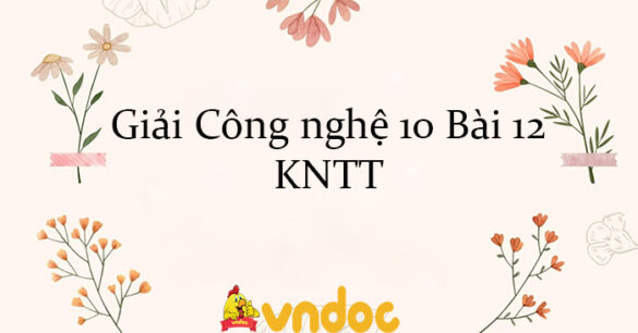 Giải Công nghệ 10 Bài 12: Một số phương pháp chọn, tạo giống cây trồng KNTT