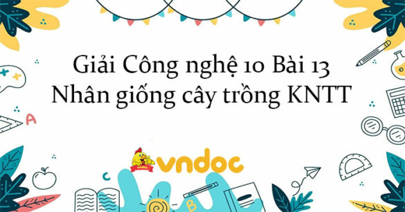 Giải Công nghệ 10 Bài 13: Nhân giống cây trồng KNTT