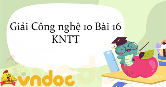 Giải Công nghệ 10 Bài 16: Một số sâu hại cây trồng thường gặp và biện pháp phòng trừ KNTT