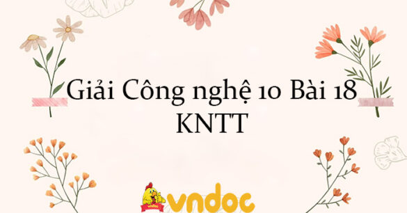 Giải Công nghệ 10 Bài 18: Ứng dụng công nghệ vi sinh trong phòng trừ sâu, bệnh hại cây trồng KNTT