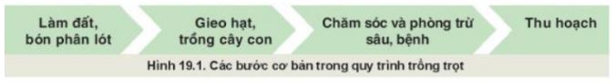 Giải Công nghệ 10 Bài 19