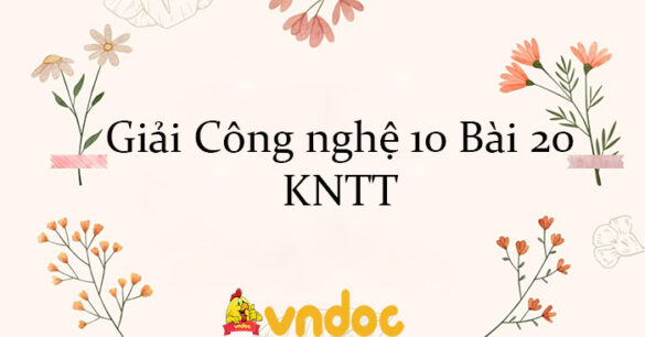 Giải Công nghệ 10 Bài 20: Công nghệ cao trong thu hoạch và bảo quản sản phẩm trồng trọt KNTT