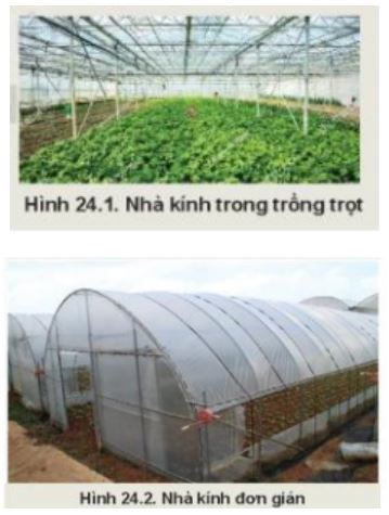 Giải Công nghệ 10 Bài 24