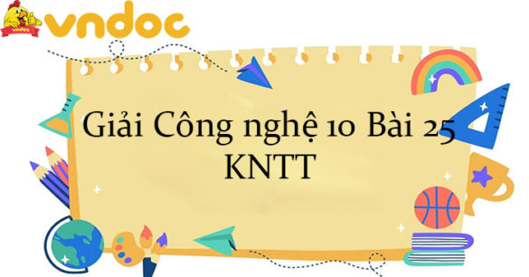 Giải Công nghệ 10 Bài 25: Công nghệ trồng cây không dùng đất KNTT