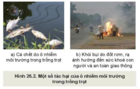 Giải Công nghệ 10 Bài 26