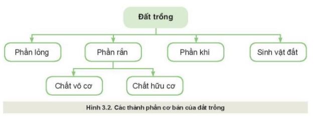 Giải Công nghệ 10 Bài 3